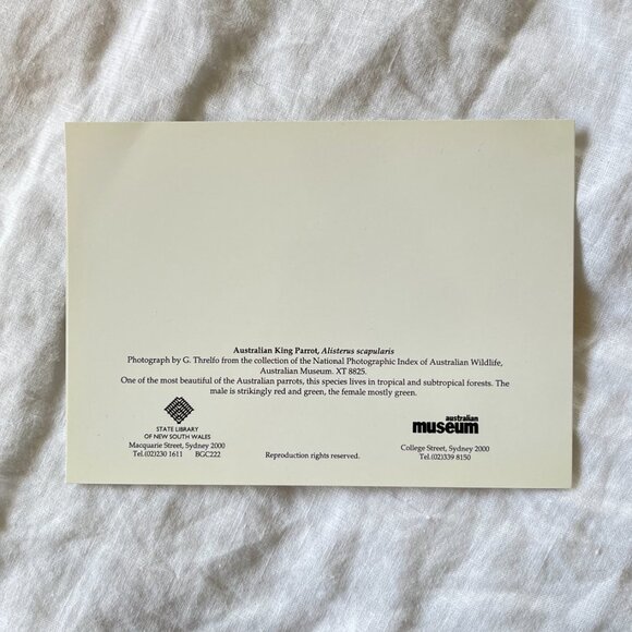 Australian Wildlife Photography Greeting Cards - Picture 12 of 16